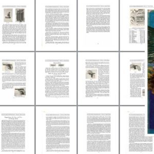 Savage 1920 Arms Company No. 61 (early copy)