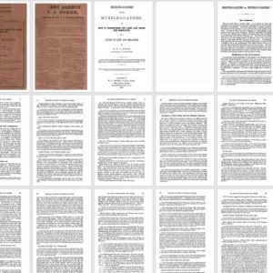 Breech-Loaders vs Muzzle-Loaders 1865