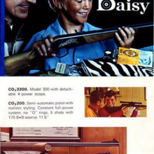 Daisy 1969 Catalog