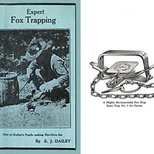 Expert Fox Trapping 1939 Circa