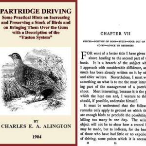 Partridge Driving 1904