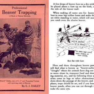 Professional Beaver Trapping 1940 Circa