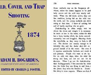 Field, Cover and Trap Shooting 1874 (US)
