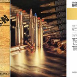 Fabrique Nationale (FN) 1980 Ammunition