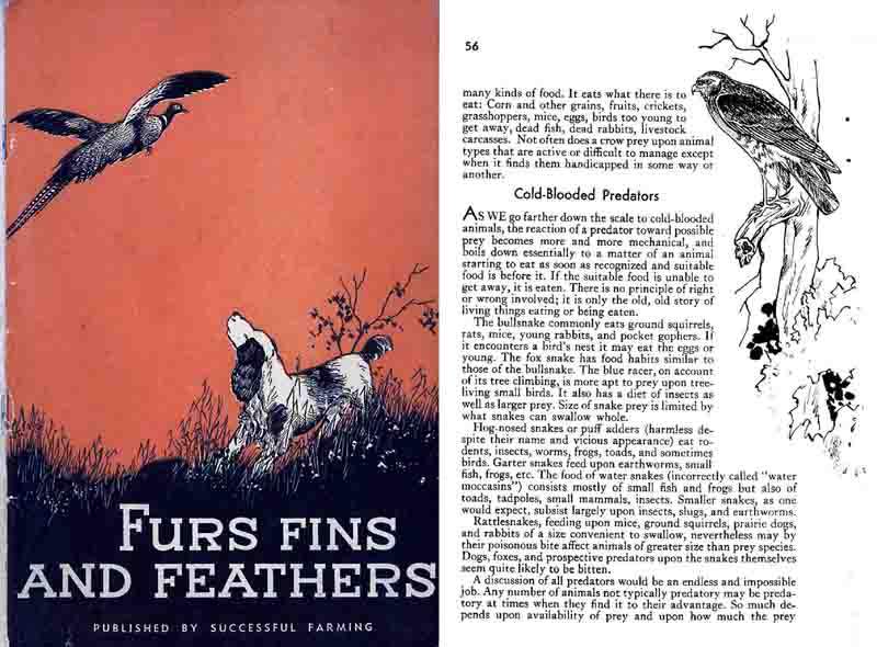 Furs, Fins and Feathers 1934 - GB-img-0