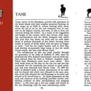 Rifle Sport in the South Island 1955 Circa (New Zealand)