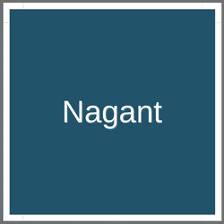 Nagant - All Reprints List